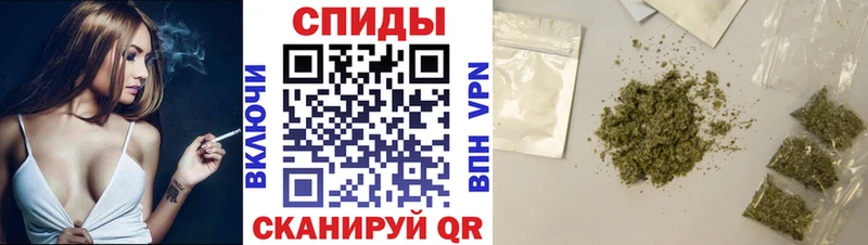Бутират буратино  Малаховка 
