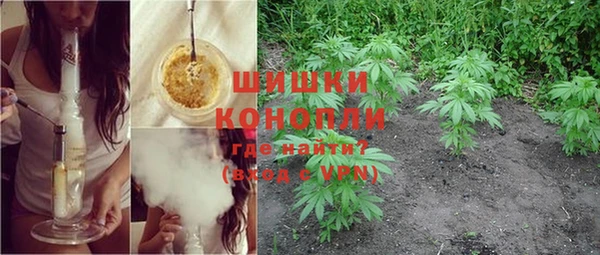 spice Алзамай