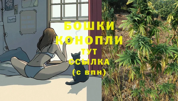 ПСИЛОЦИБИНОВЫЕ ГРИБЫ Снежногорск