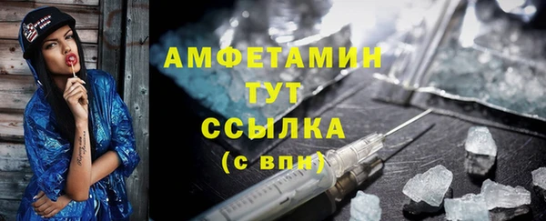 мет Алексин