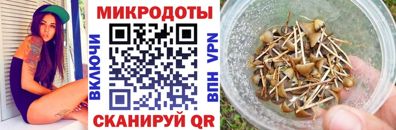 Псилоцибиновые грибы Psilocybine cubensis  Малаховка 